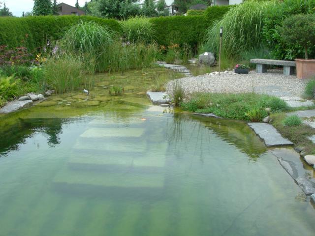 Schwimmteich Einstieg